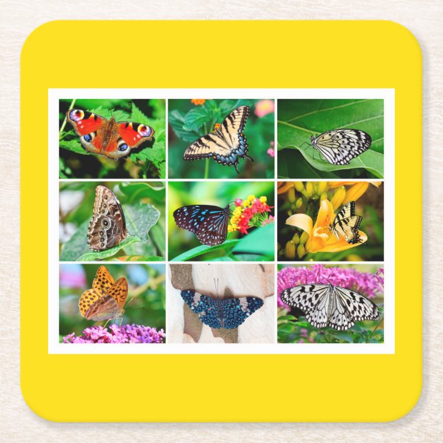 Gorgeous Butterflies Collage, 9 Photos Square Paper Coaster (Front)