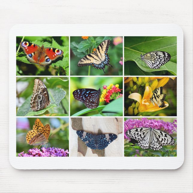Gorgeous Butterfly Collage, 9 Photos Mouse Mat (Front)