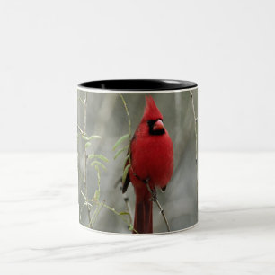 Gorgeous Cardinal Photo-  Mug