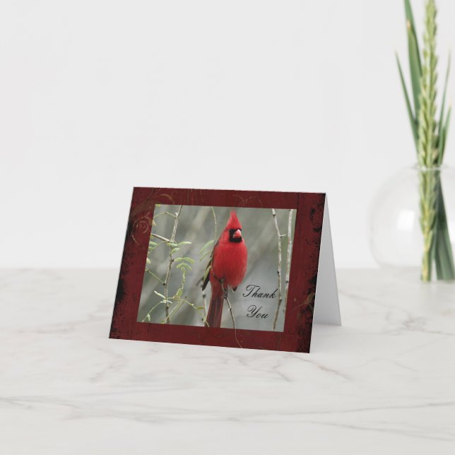 Gorgeous Cardinal Photo- Thank You Note Card (Front)