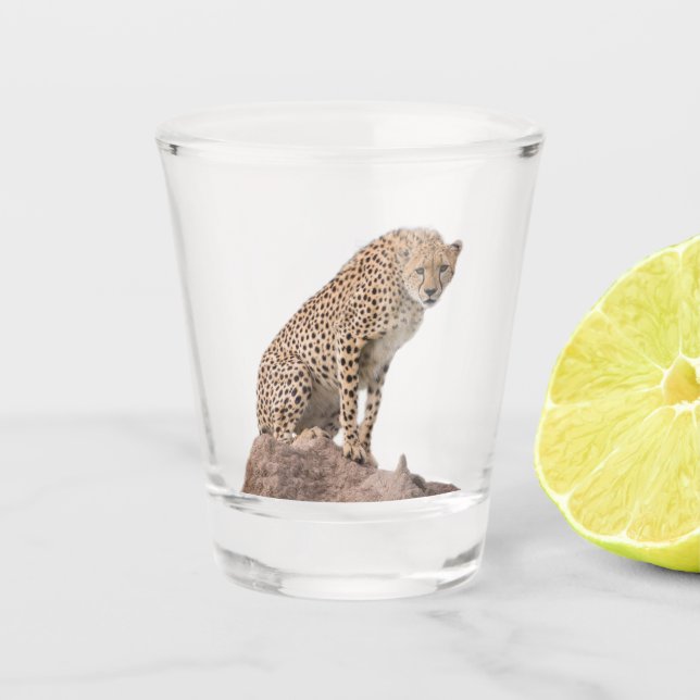 Gorgeous Cheetah Beautiful Cat Photo Shot Glass (Front)