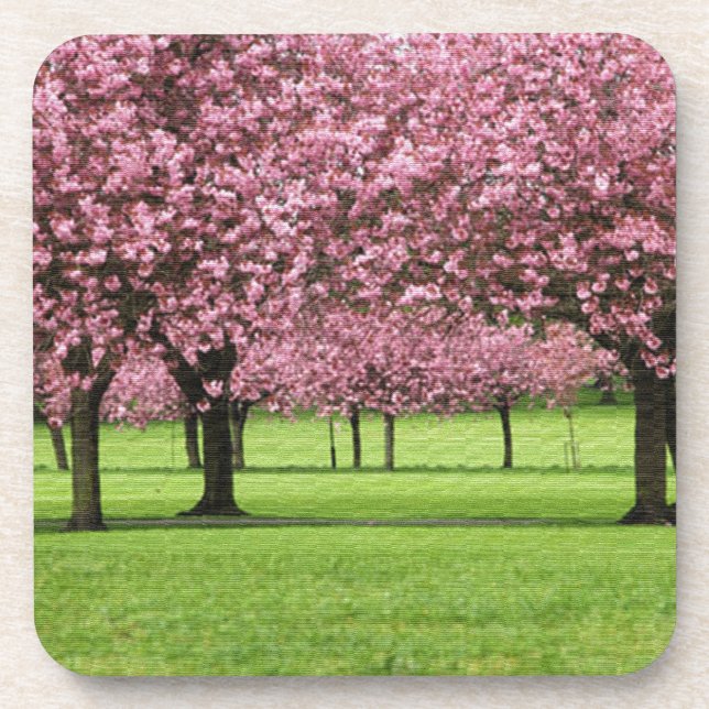 GORGEOUS CHERRY FLORAL COASTER (Front)