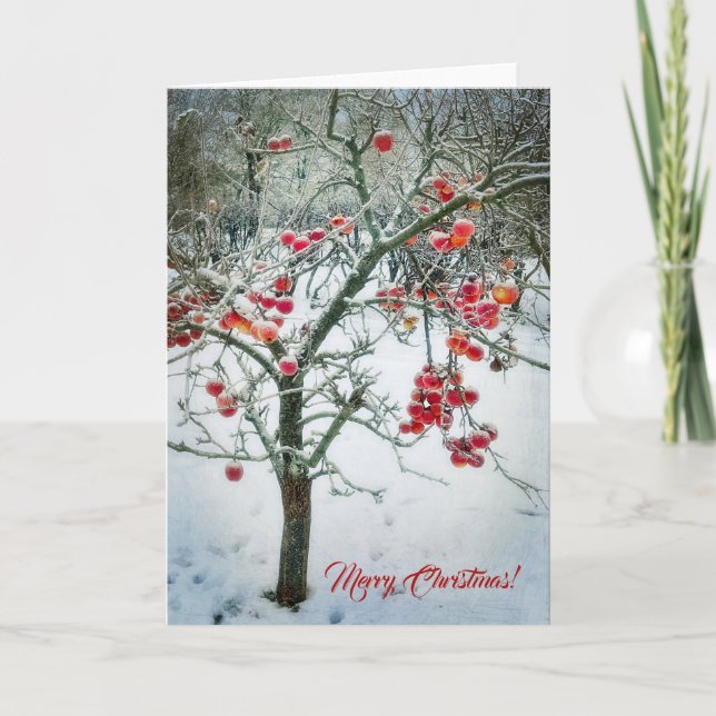 Gorgeous Christmas Greeting Card! Card (Front)