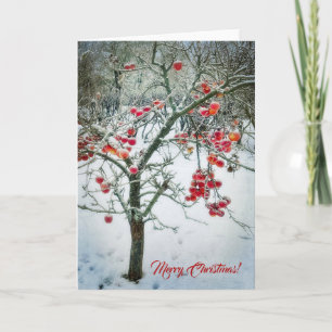 Gorgeous Christmas Greeting Card! Card
