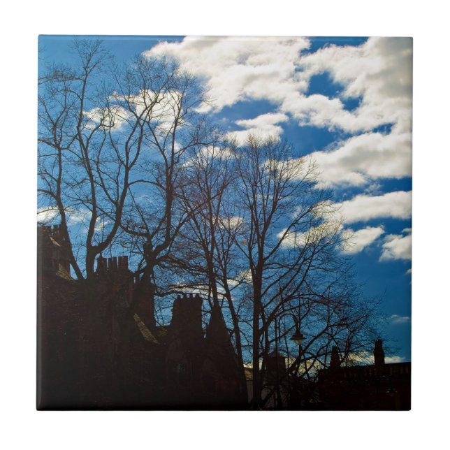 GORGEOUS CITY SKY TILE (Front)