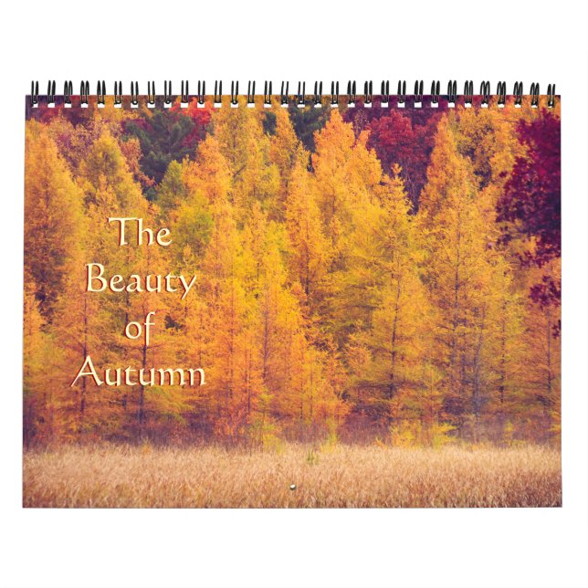 Gorgeous, Colourful Autumn Photography Calendar (Cover)