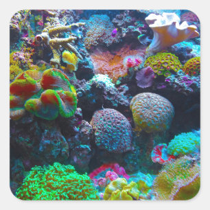 Gorgeous Coral Reef Square Sticker