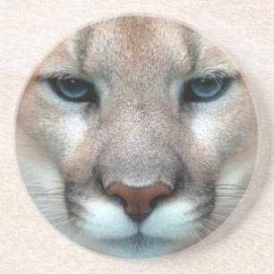 GORGEOUS COUGAR COASTER