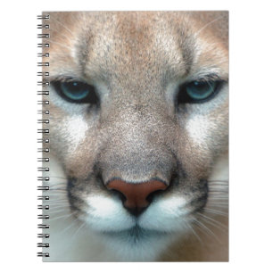 GORGEOUS COUGAR NOTEBOOK