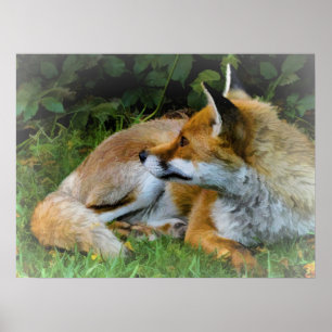 Gorgeous digital painting of a fox poster