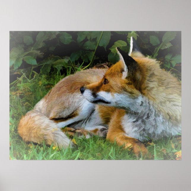 Gorgeous digital painting of a fox poster (Front)