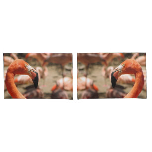 Gorgeous Flamingo Pair Of Pillowcases! Pillowcase