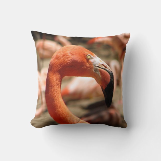 Gorgeous Flamingo Pillow! Cushion (Front)