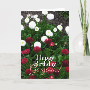 Gorgeous Flower Garden Birthday Card
