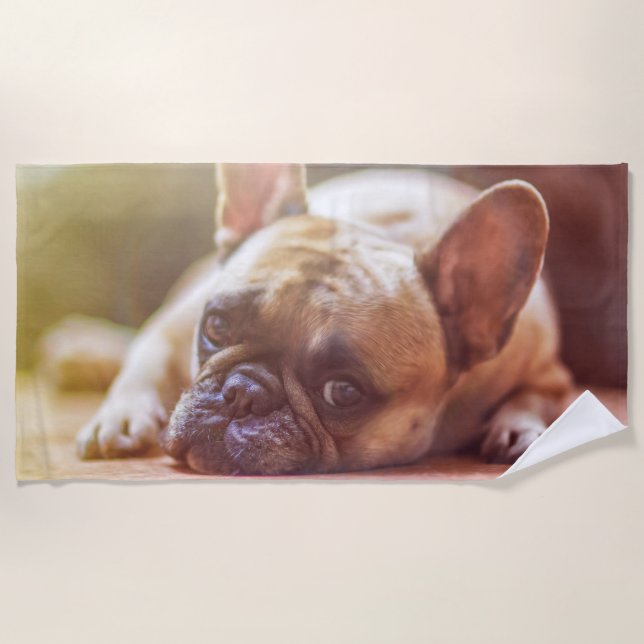 Gorgeous french bulldog lying down beach towel (Front)