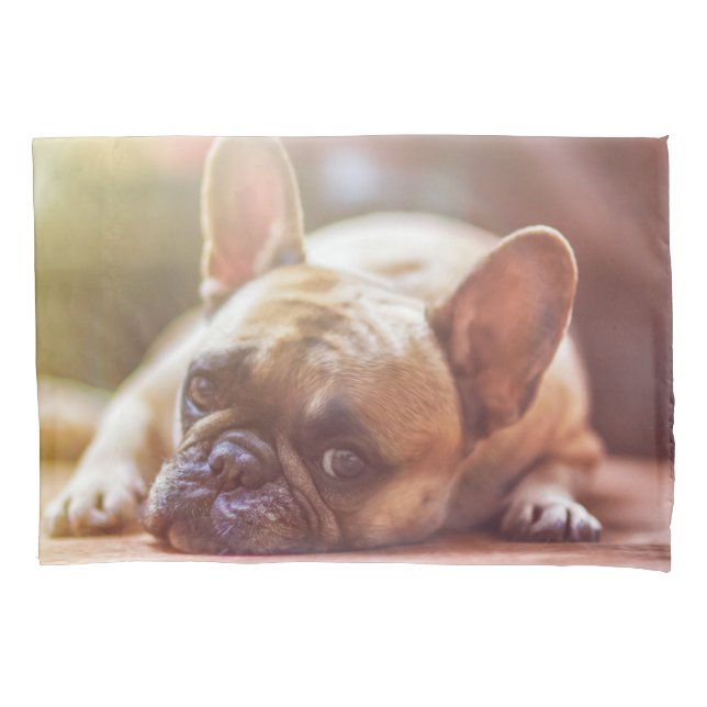Gorgeous french bulldog lying down pillowcase (Front)