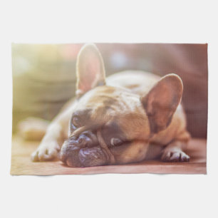 Gorgeous french bulldog lying down tea towel