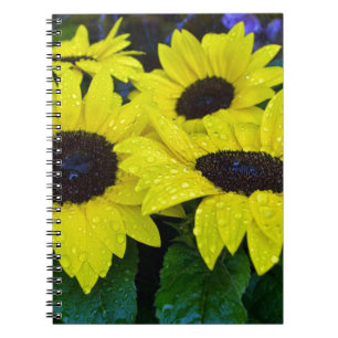 GORGEOUS GARDEN SUNFLOWERS NOTEBOOK