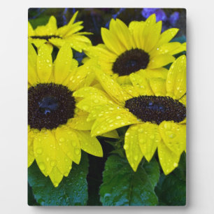 GORGEOUS GARDEN SUNFLOWERS PLAQUE
