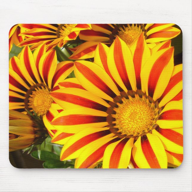 Gorgeous Gazania Mouse Mat (Front)