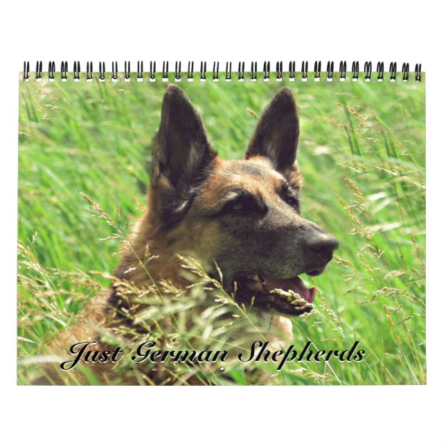 Gorgeous German Shepherd Calendar (Cover)
