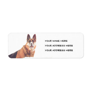 Gorgeous German Shepherd in the Snow Address Label