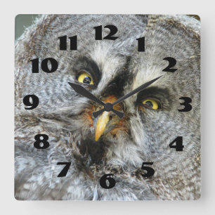 Gorgeous Great Grey Owl Close Up Wall Clock