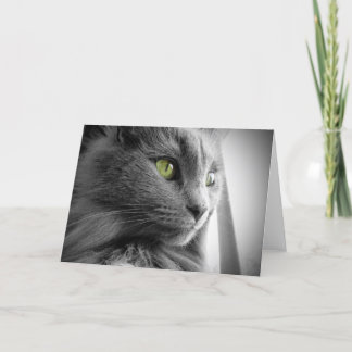 Gorgeous Grey Blue Cat with Green Eyes - Blank Card
