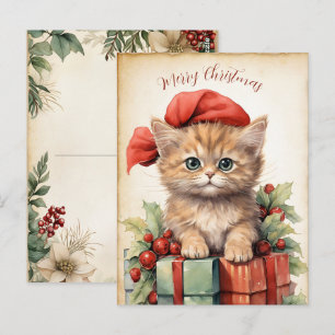 Gorgeous  Kitten  Christmas  Postcard