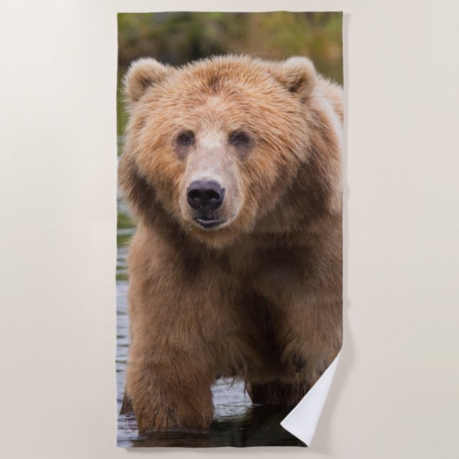 Gorgeous kodiak brown bear beach towel (Front)