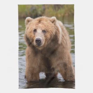 Gorgeous kodiak brown bear tea towel