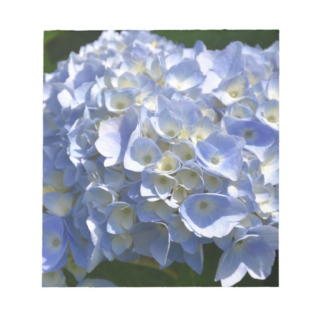 Gorgeous Light Blue Flowering Hydrangea Bush Notepad (Front)