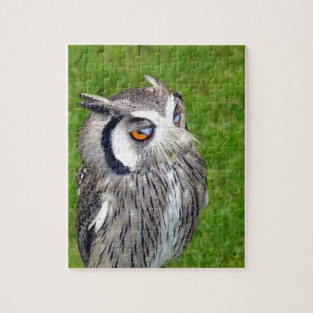 Gorgeous Little Owl Jigsaw Puzzle (Vertical)