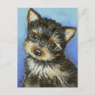 Gorgeous little Yorkie Postcard