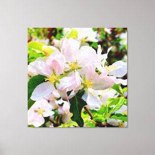 Gorgeous Malus asiatica Photo Canvas Print