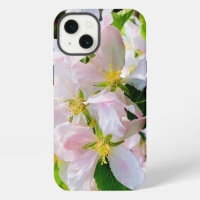 Gorgeous Malus asiatica Photo