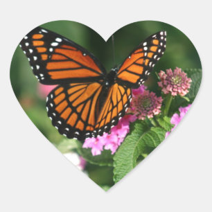 Gorgeous Monarch Butterfly Design Heart Sticker