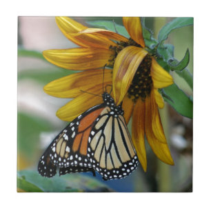 Gorgeous Monarch Butterfly on Sunflower Tile