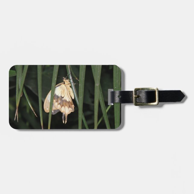 Gorgeous Moth Custom Luggage Tag (Front Horizontal)