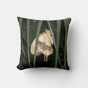 Gorgeous Moth Pillow
