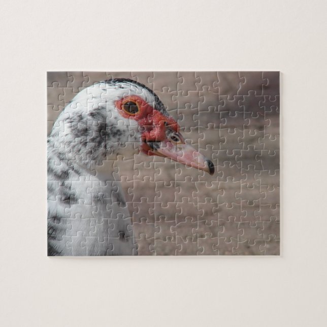 Gorgeous Muscovy Hen Duck Jigsaw Puzzle (Horizontal)