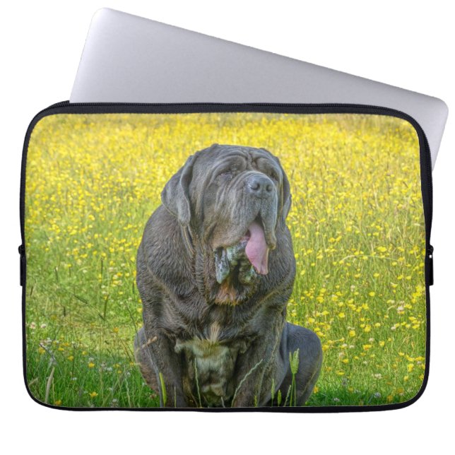Gorgeous Neapolitan Mastiff  Laptop Sleeve (Front)
