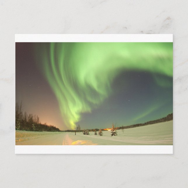 GORGEOUS NORTHERN LIGHTS POSTCARD (Front)