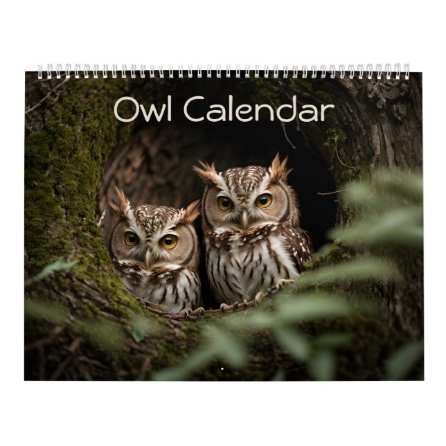 Gorgeous Owl Portrait Collection 2025 Calendar (Cover)