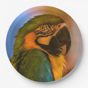 Gorgeous Parrot Paper Plate