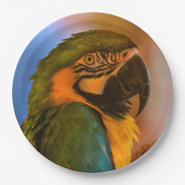 Gorgeous Parrot Paper Plate (Front)