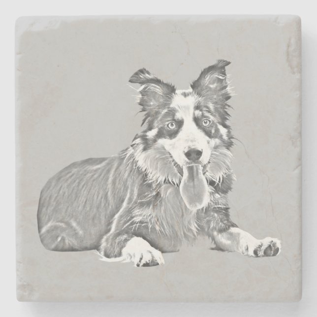 Gorgeous Pencil Border Collie Marble Coaster (Front)