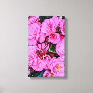 gorgeous pink flowers canvas print