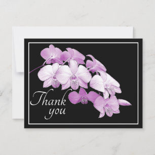 Gorgeous Pink Orchids Black Background Thank You Postcard