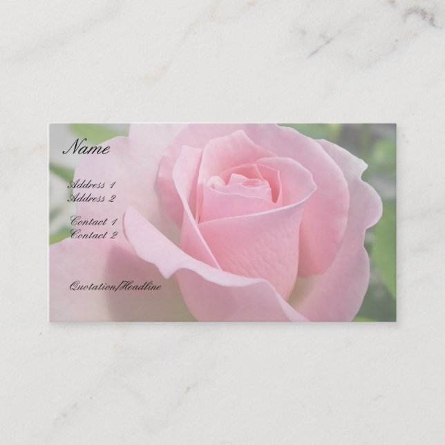 Gorgeous Pink Rose Business Card (Front)
